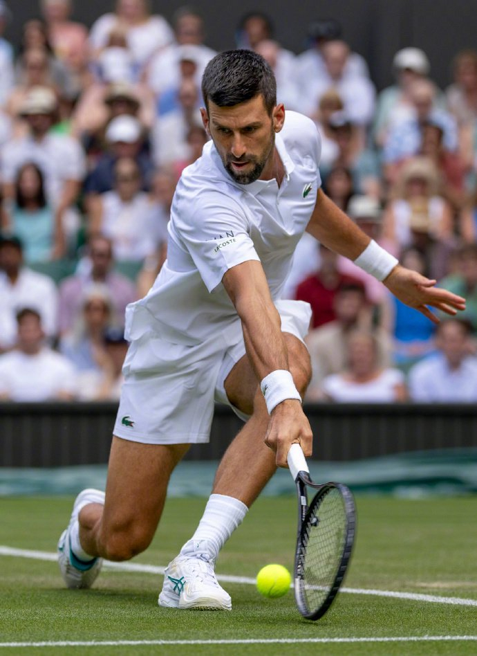 开云APP-戴维斯杯逆转美网，德约科维奇刷新纪录