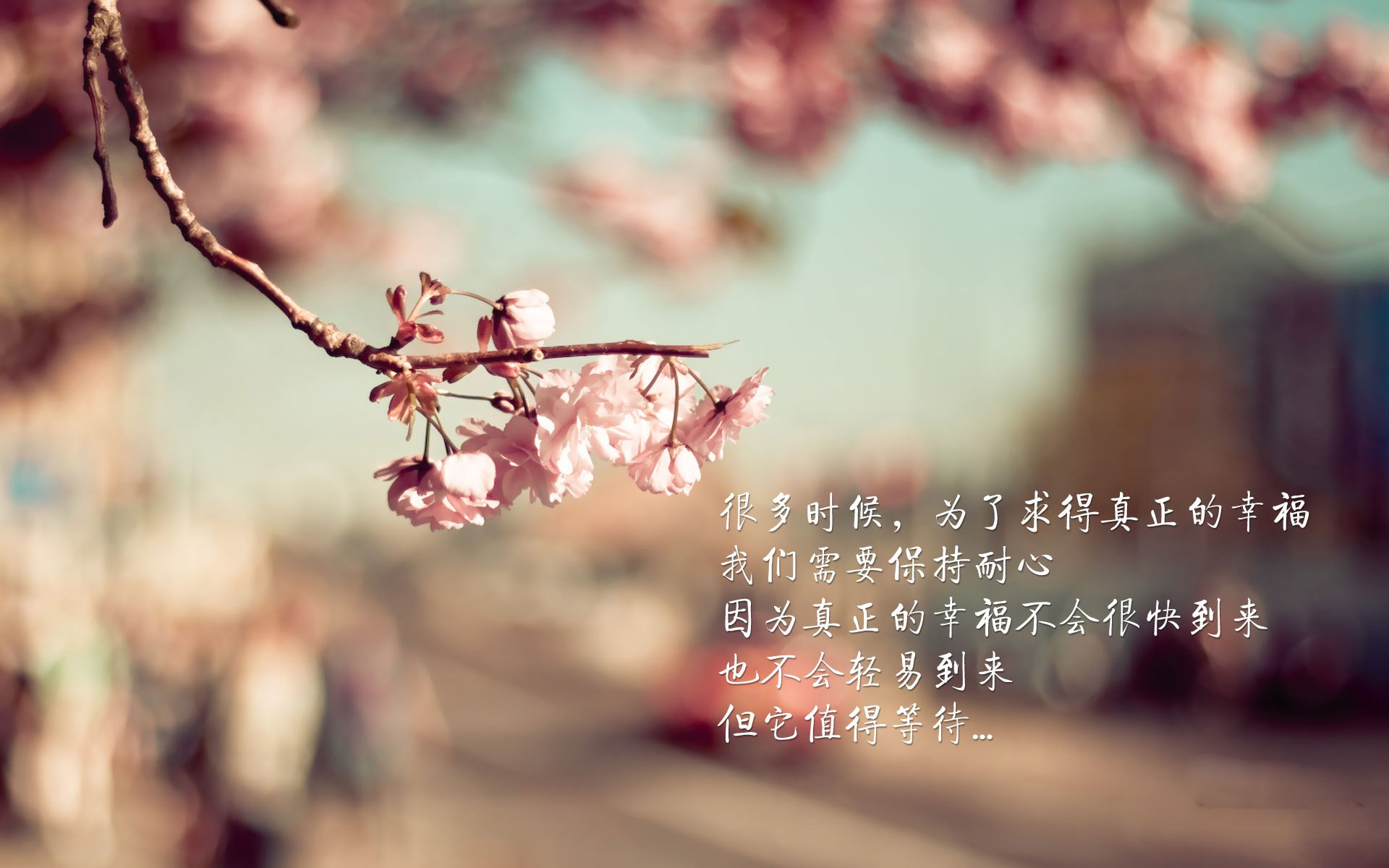 奥利维耶50分创史之夜！埃及40分狂胜中国，亚洲篮坛迎来历史性冲击波