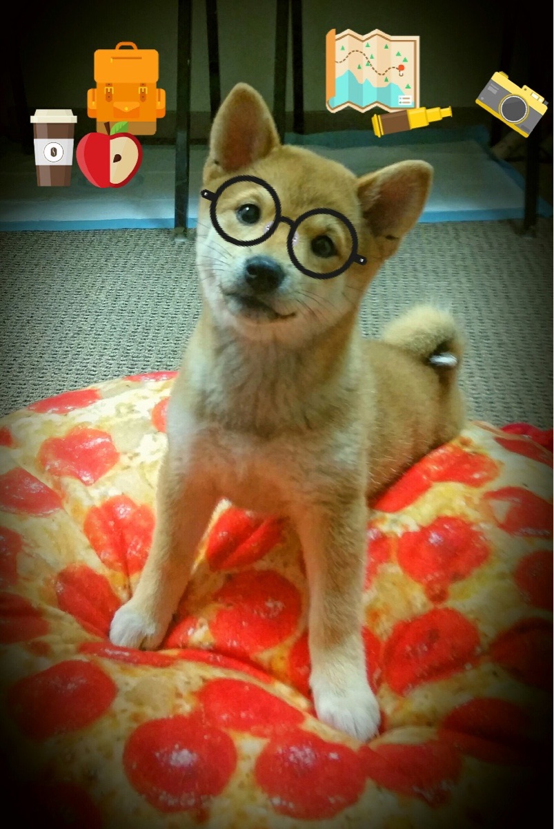 公牛以节奏掌控步行者，总决赛焦点战中的无声胜利