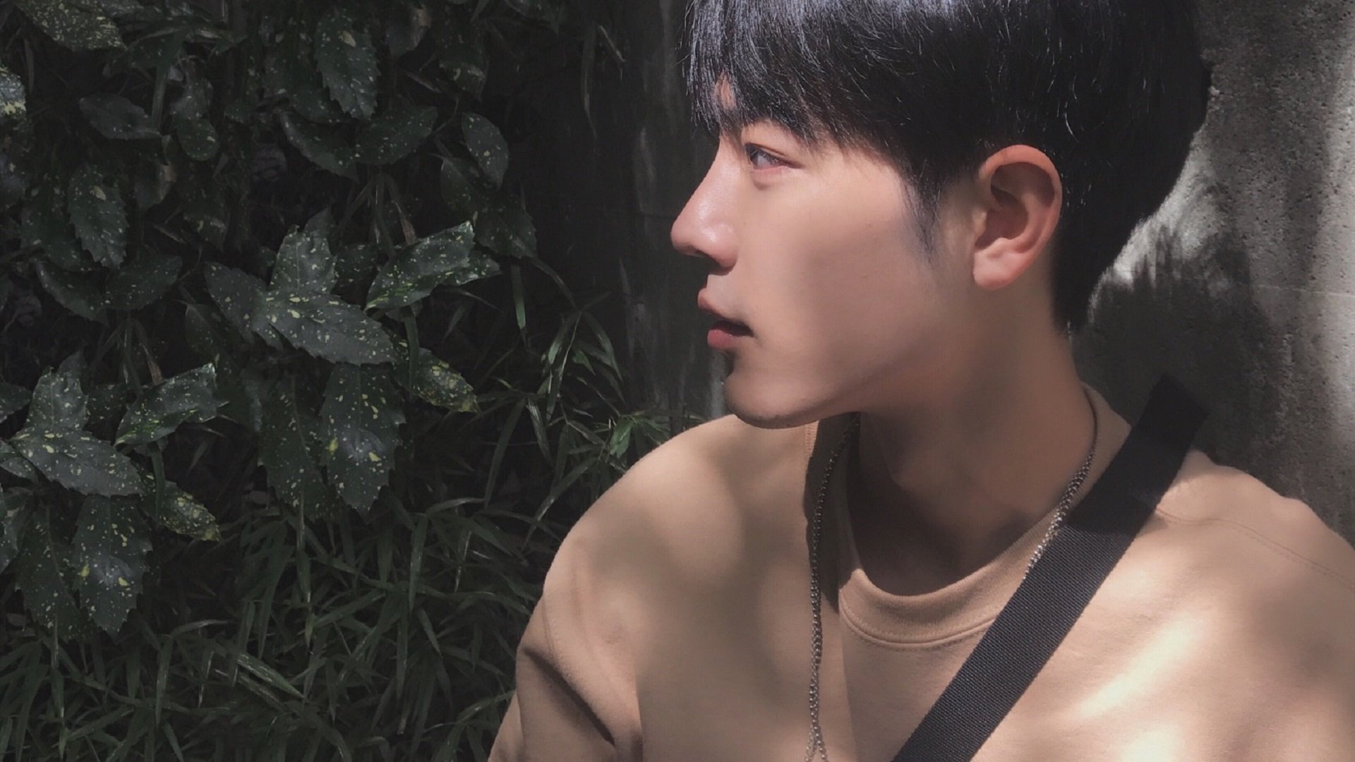 开云体育-小人物接管世界，当鹈鹕打穿国王，保罗在意甲赛场封神