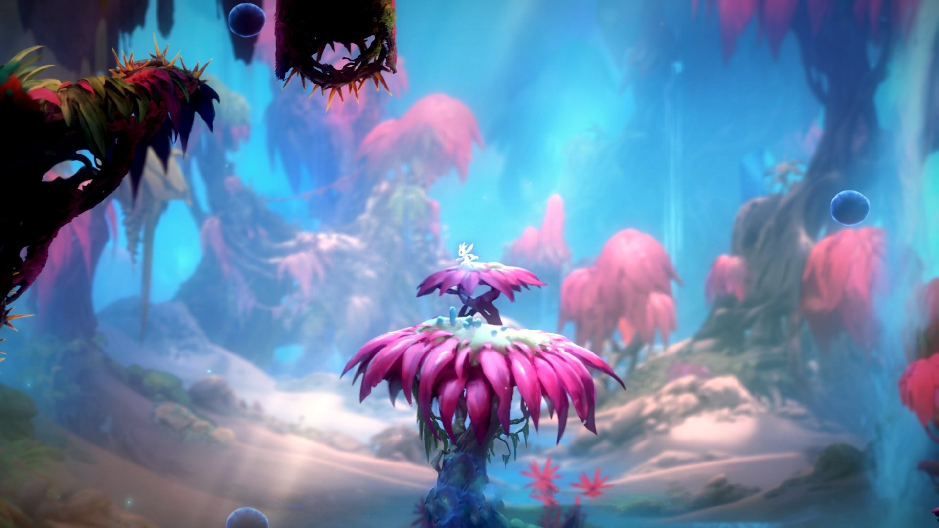 棋盘内外的将军，当足球友谊赛遇见篮球生死战