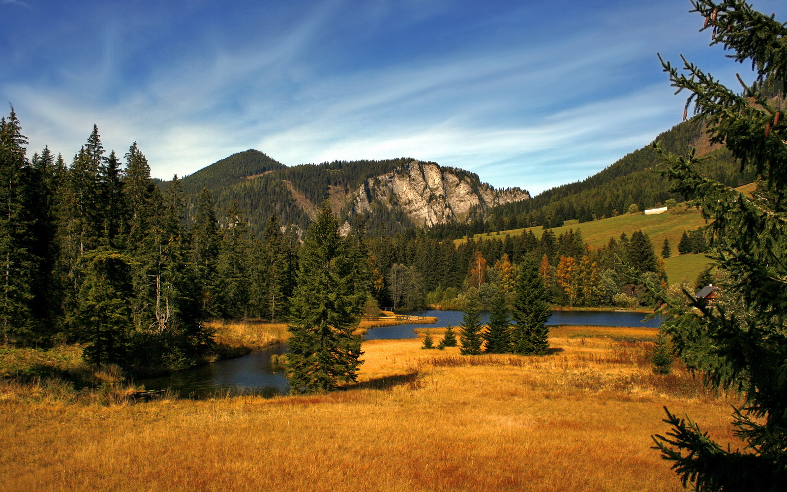 暗流下的沙场，从卡塔尔险胜阿尔及利亚，看德甲争冠战的无形砝码