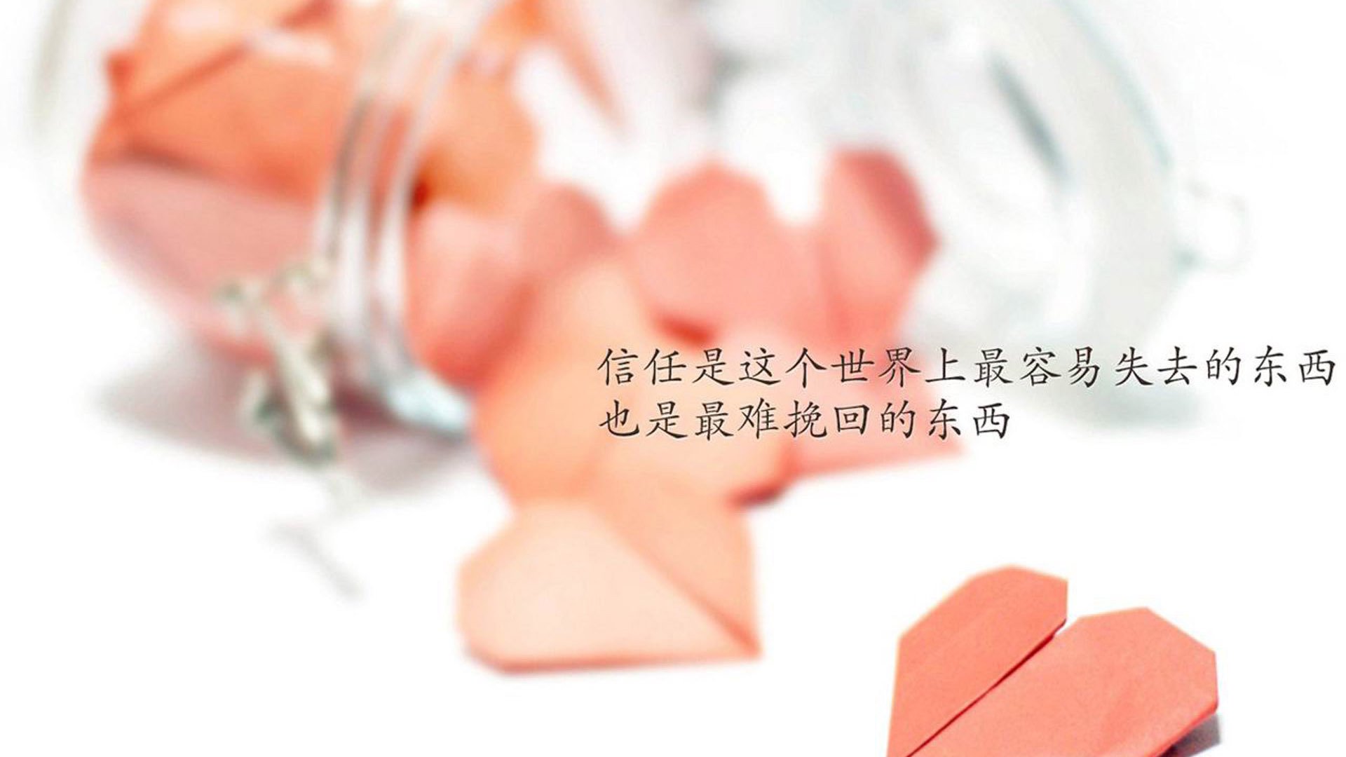 深圳龙华之夜,当北境猛龙撕咬南方钢铁,约基奇数字矩阵统治虚拟战场