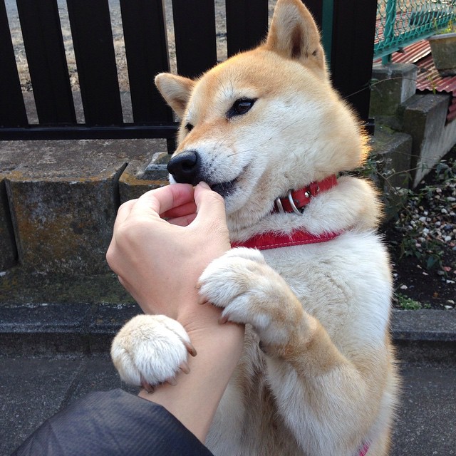 开云体育APP下载-双面逆袭,从雷克雅未克到伯纳乌,非主角的史诗接管