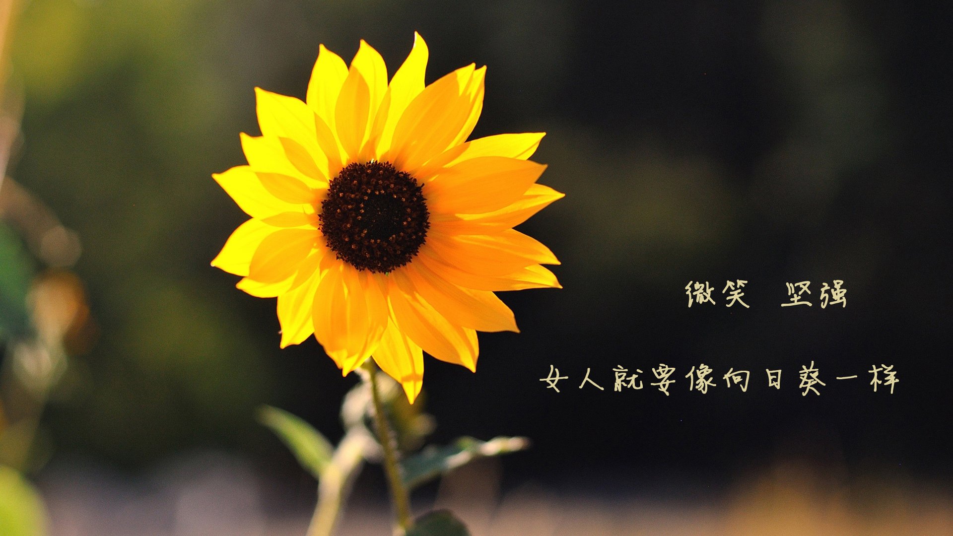 惊天压制!托尼绞杀利物浦核心,雷恩生死战逆袭创奇迹